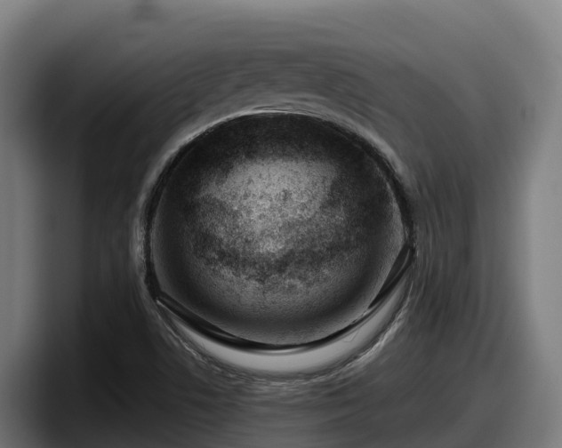 X0000097841506200803201507