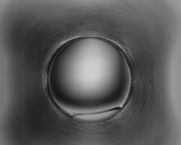 X0000097841507200803201507