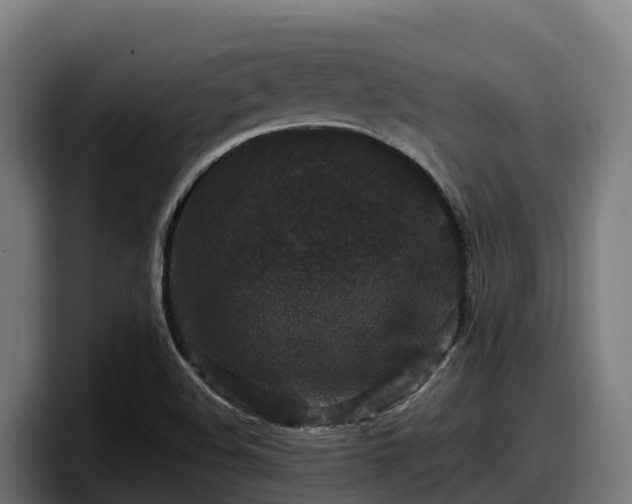 X0000097841508200803201507