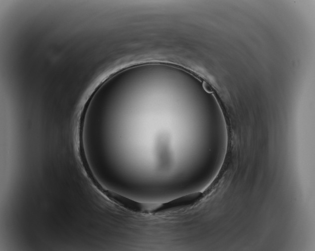 X0000097841512200803201507