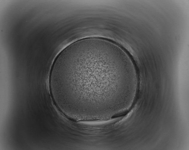 X0000097841513200803201507