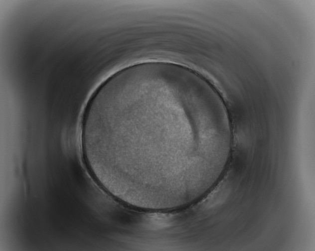 X0000097841514200803201507