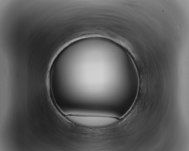 X0000097841516200803201507