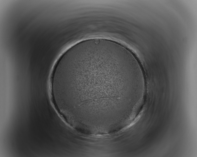 X0000097841517200803201507
