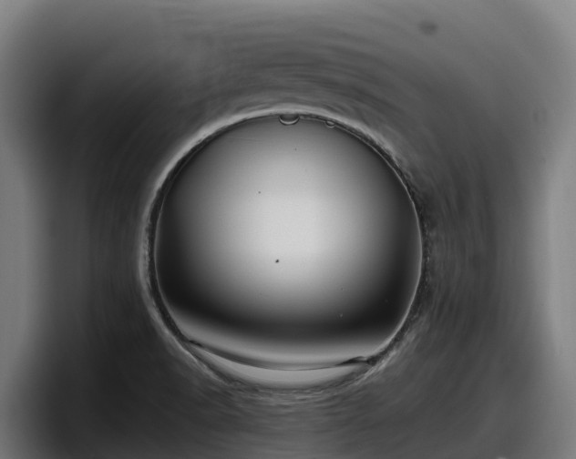 X0000097841518200803201507