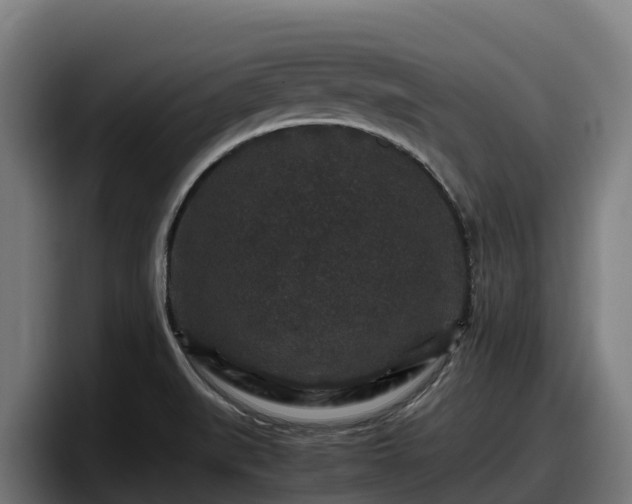 X0000097841519200803201507