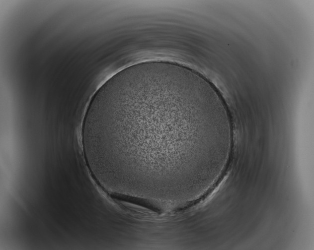 X0000097841521200803201507
