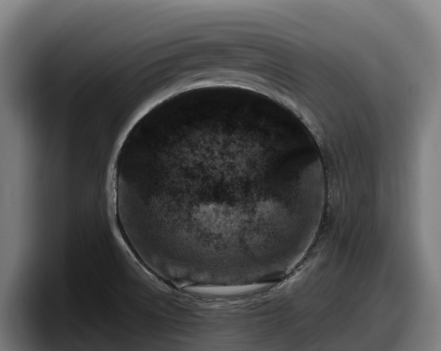 X0000097841522200803201507