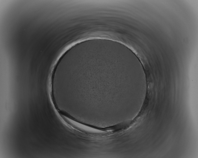 X0000097841523200803201507