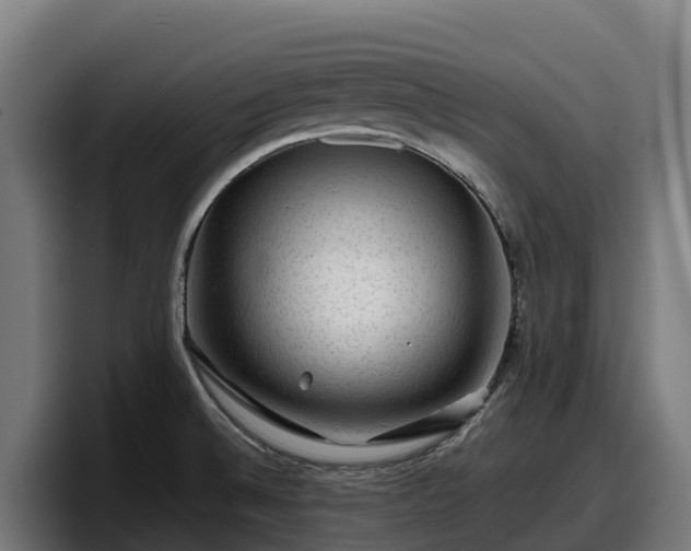 X0000097841524200803201507