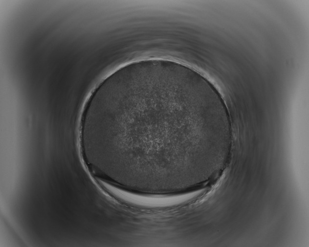 X0000097841525200803201507