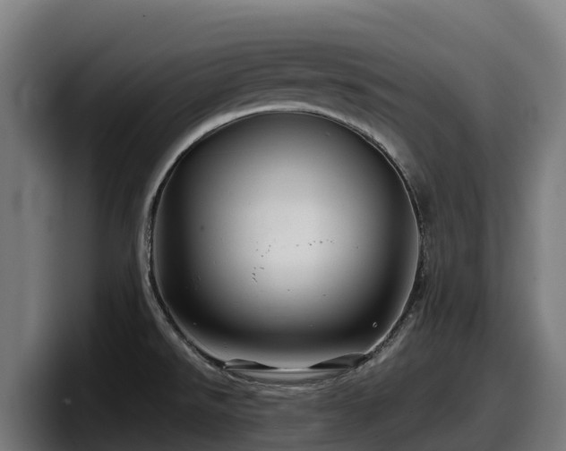 X0000097841526200803201507