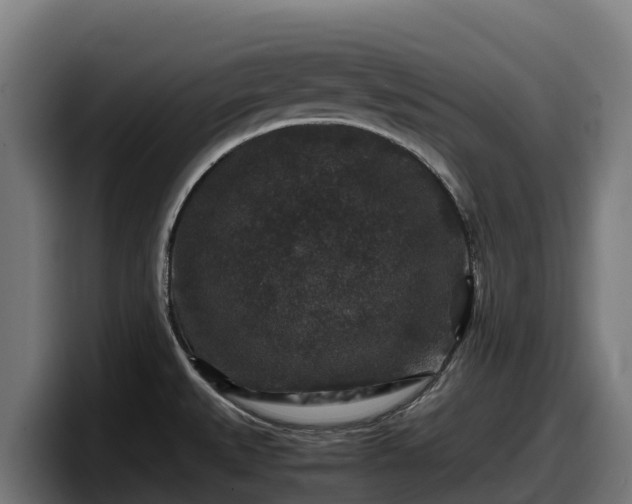 X0000097841527200803201507