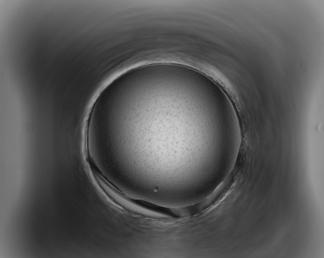 X0000097841528200803201508