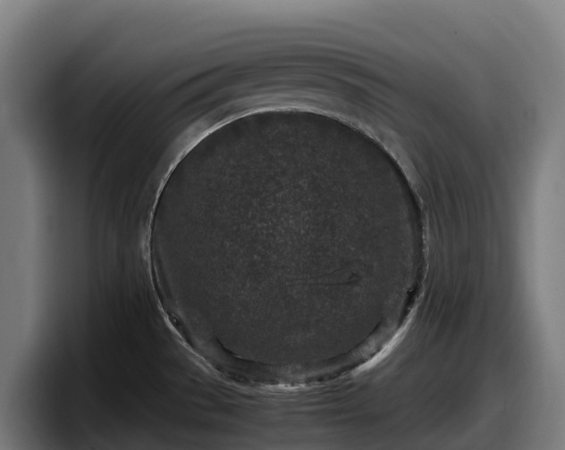 X0000097841529200803201508