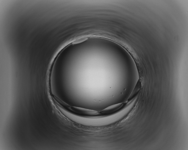X0000097841530200803201508