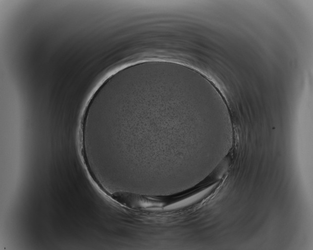 X0000097841531200803201508