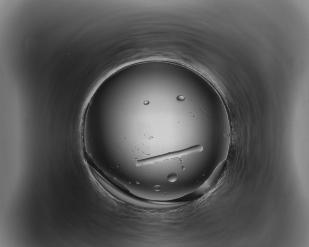 X0000097841532200803201508