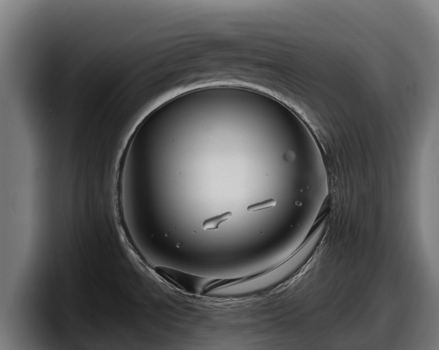 X0000097841534200803201508