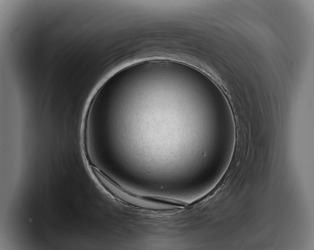 X0000097841536200803201508