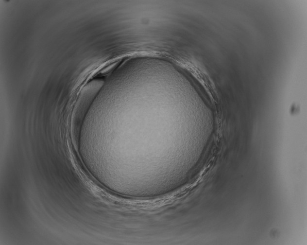 X0000097840001200803281235