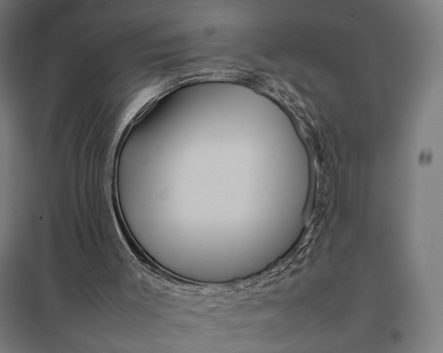 X0000097840003200803281235
