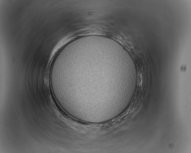 X0000097840004200803281235