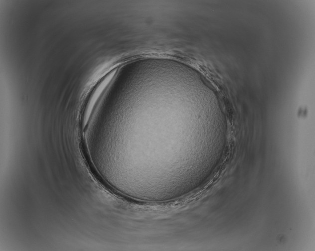 X0000097840005200803281235