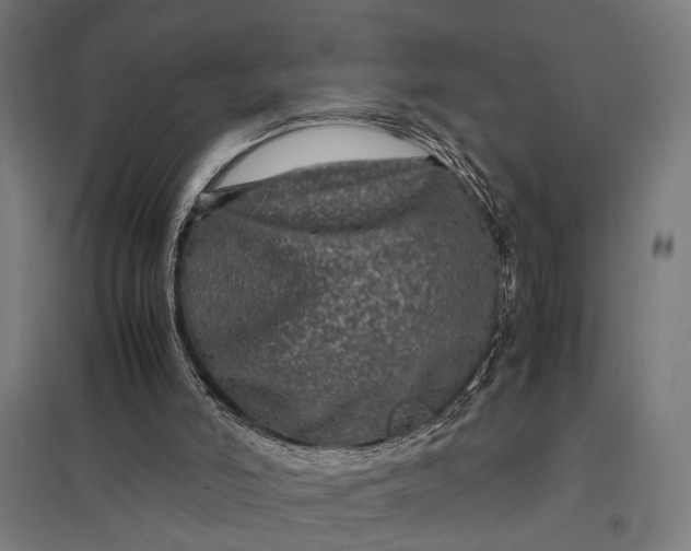 X0000097840006200803281235