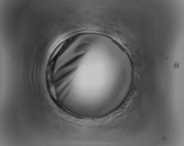 X0000097840007200803281235