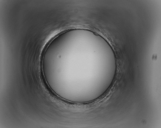X0000097840008200803281235