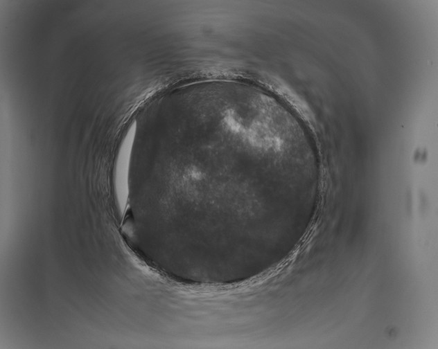X0000097840009200803281235