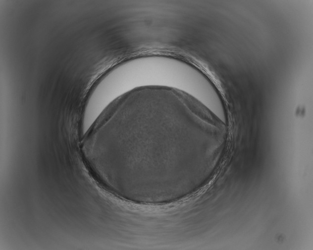 X0000097840010200803281235
