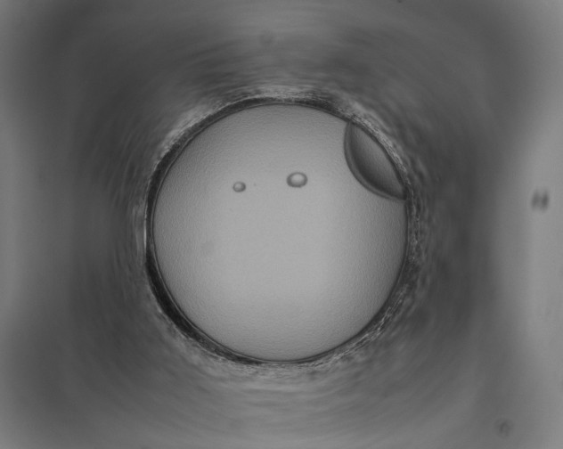 X0000097840011200803281234