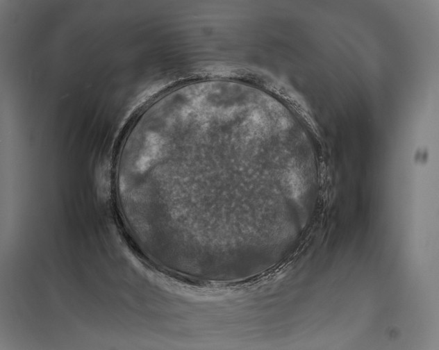 X0000097840012200803281234