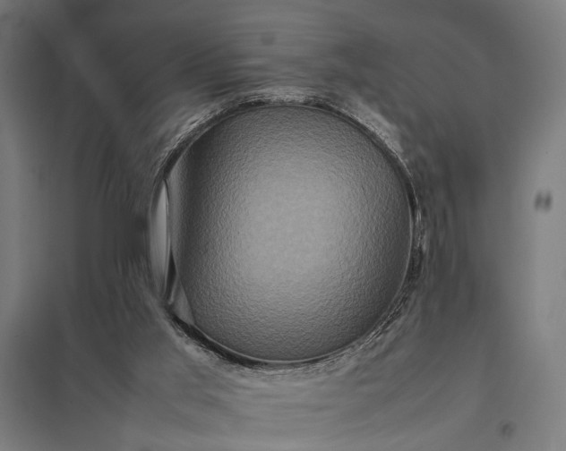 X0000097840013200803281234