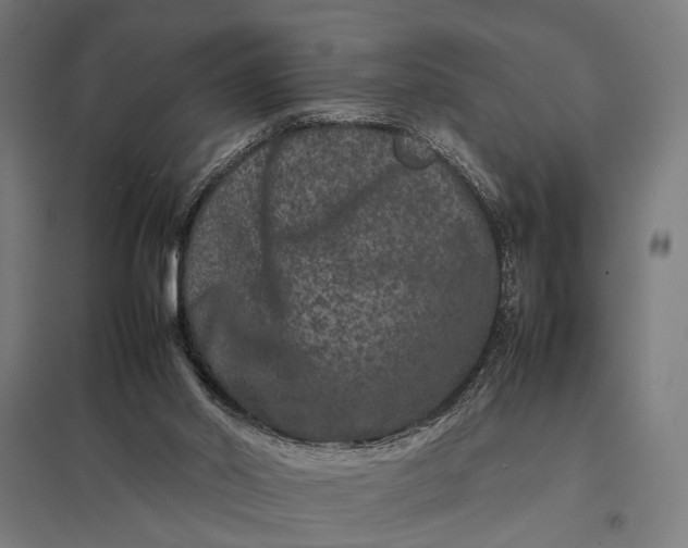X0000097840014200803281234