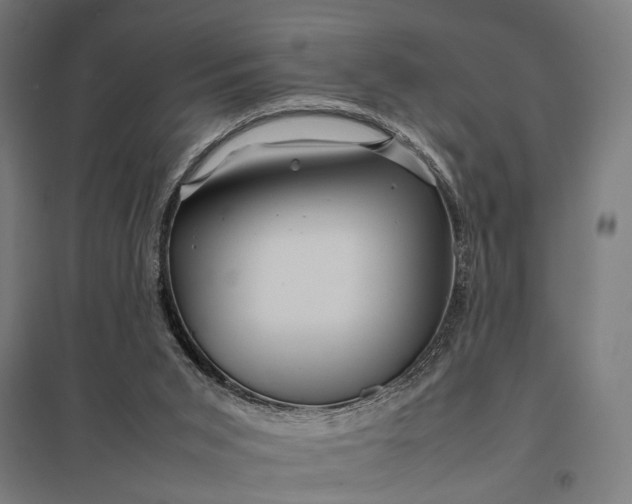 X0000097840015200803281234