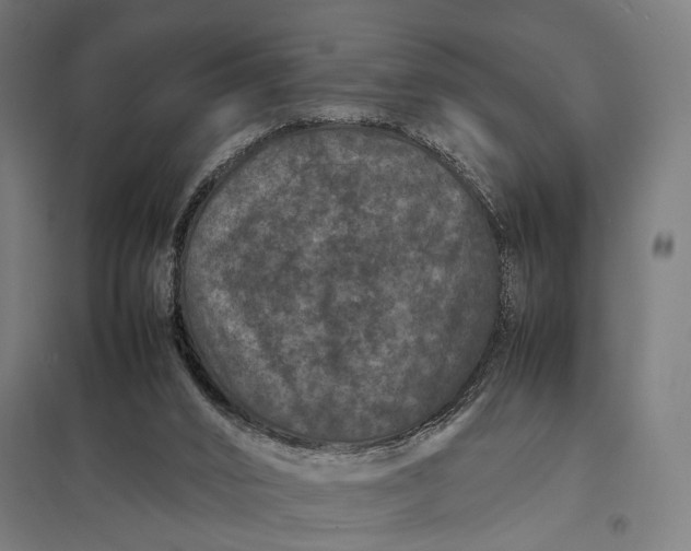 X0000097840016200803281234