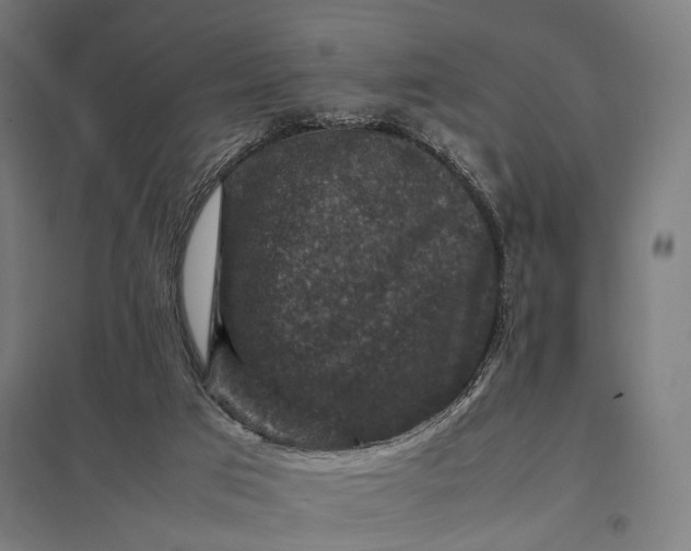 X0000097840017200803281234