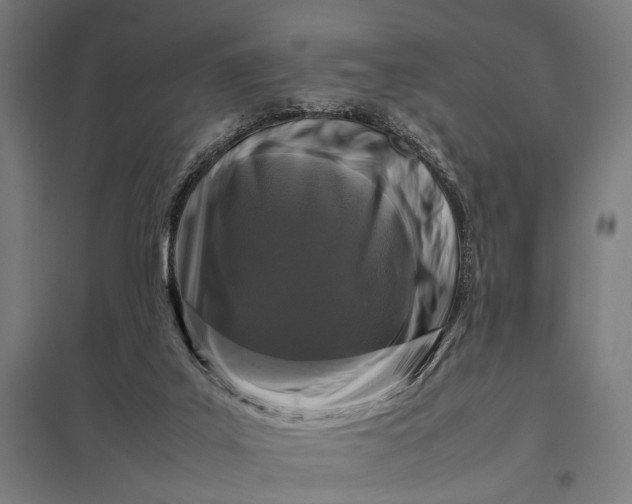 X0000097840019200803281234