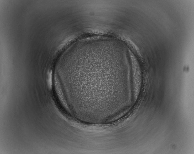 X0000097840020200803281234