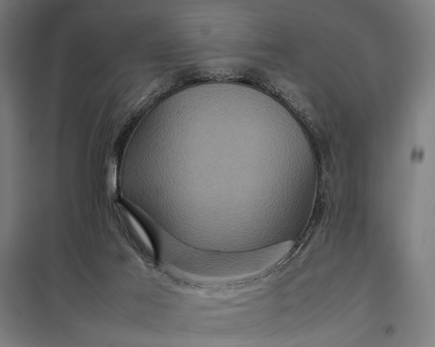 X0000097840021200803281234