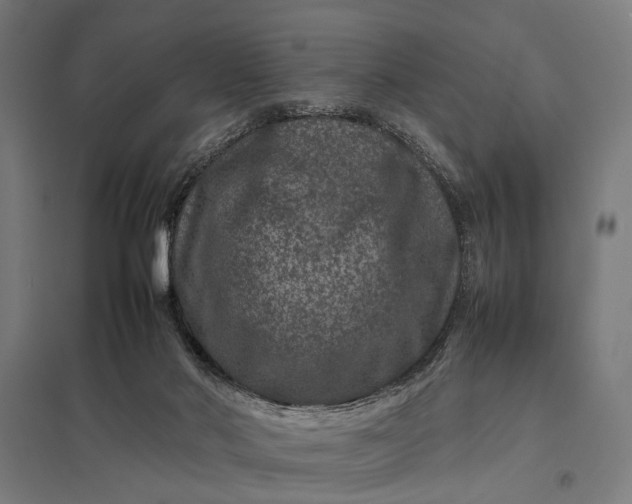 X0000097840022200803281234