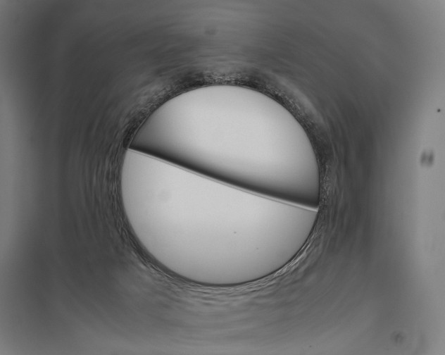 X0000097840025200803281234