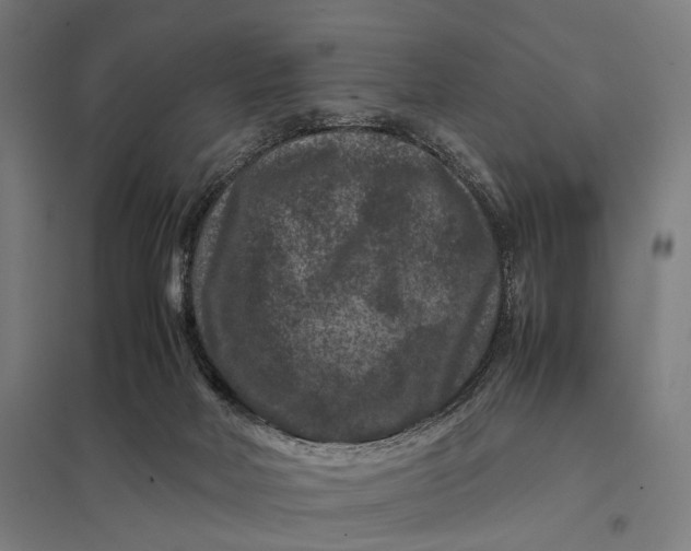 X0000097840026200803281234