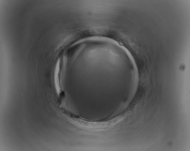 X0000097840027200803281234