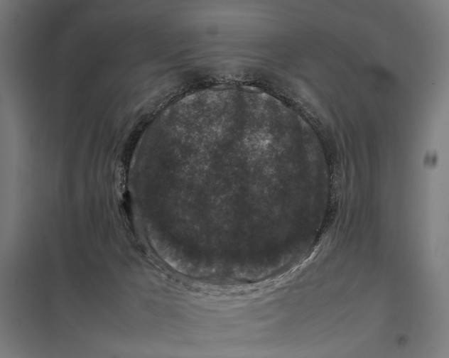 X0000097840029200803281234
