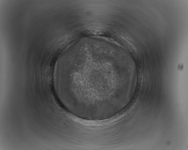 X0000097840030200803281234