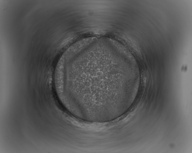 X0000097840032200803281234
